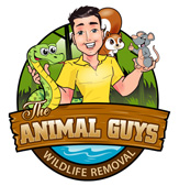 The Animal Guys
